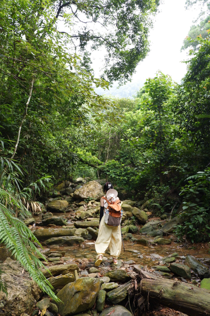 Hàm Lợn suối 3