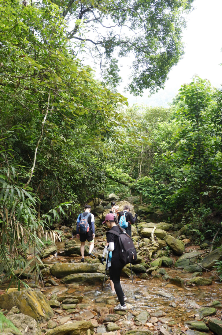 Hàm Lợn suối 6