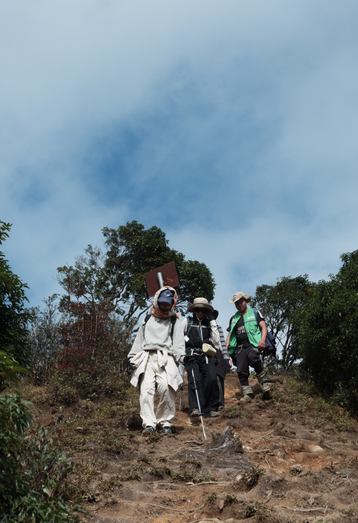 Phu Sa Phìn 8